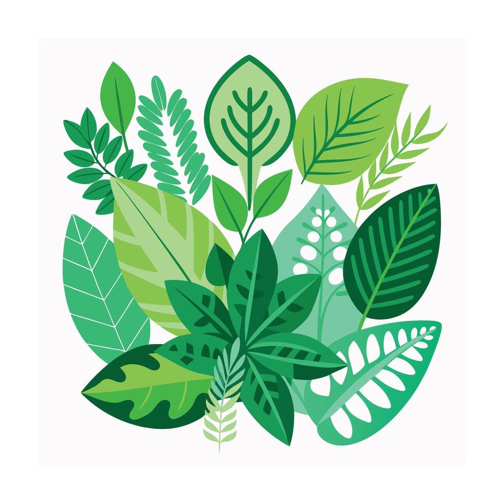 Realistic Beautiful Leaves Illustration vector