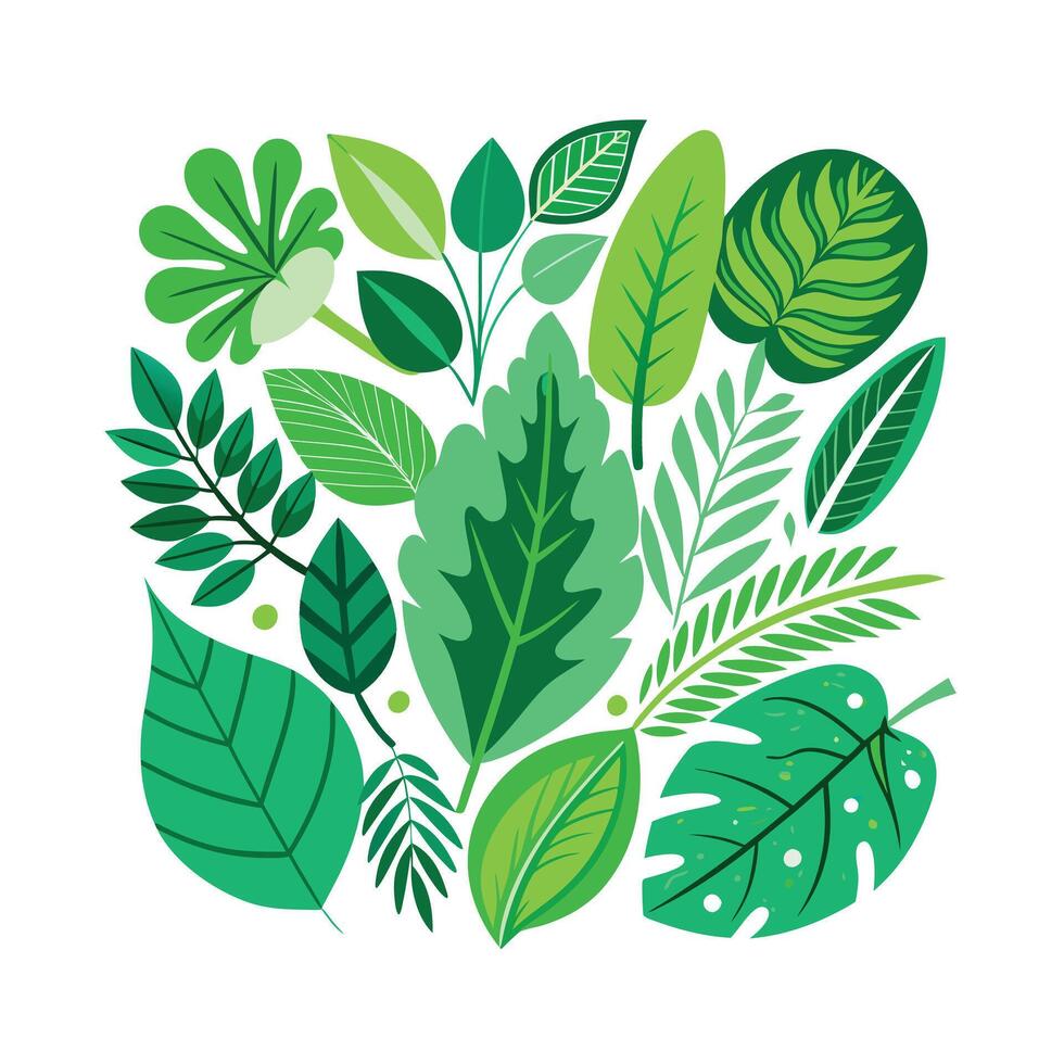 Realistic Beautiful Leaves Illustration vector