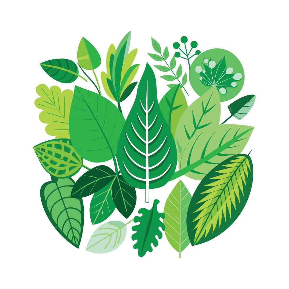 Realistic Beautiful Leaves Illustration vector