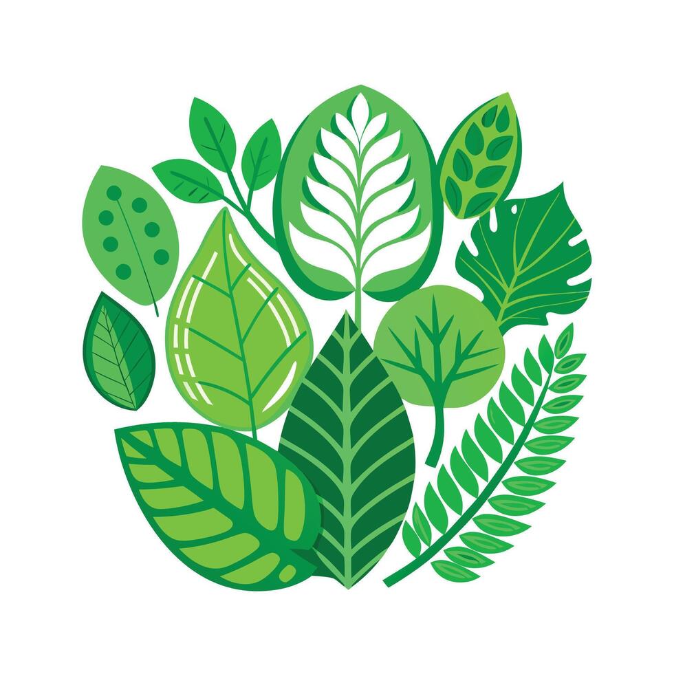 Realistic Beautiful Leaves Illustration vector