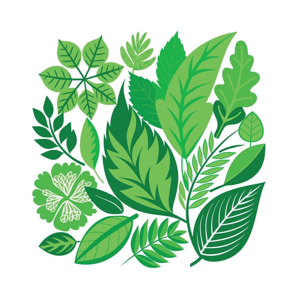 Realistic Beautiful Leaves Illustration vector