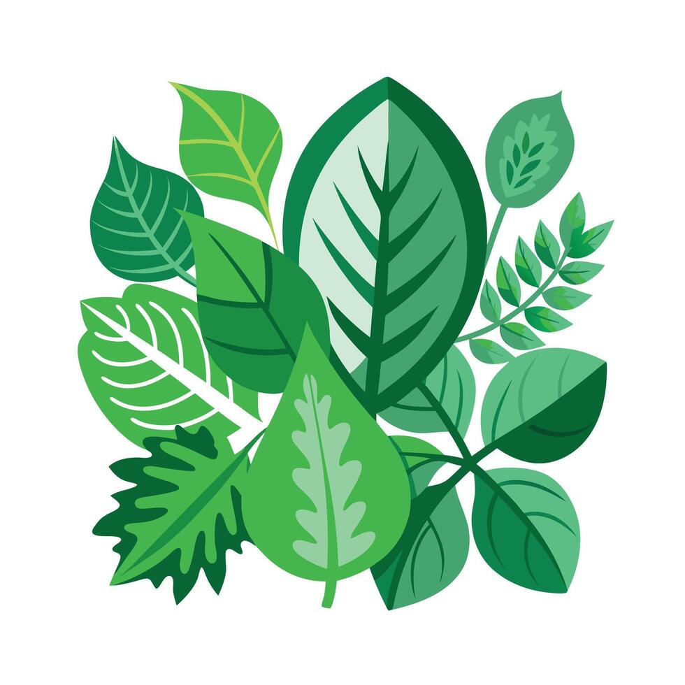 Realistic Beautiful Leaves Illustration vector