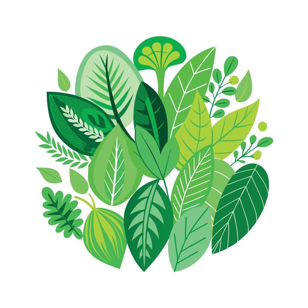Realistic Beautiful Leaves Illustration vector