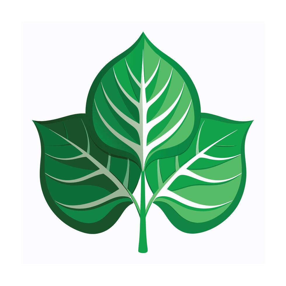 Realistic Beautiful Leaves Illustration vector