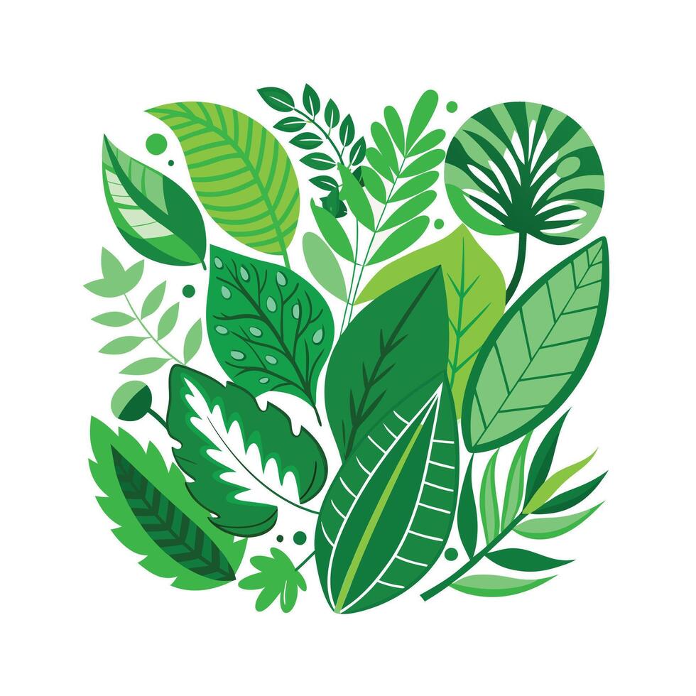 Realistic Beautiful Leaves Illustration vector