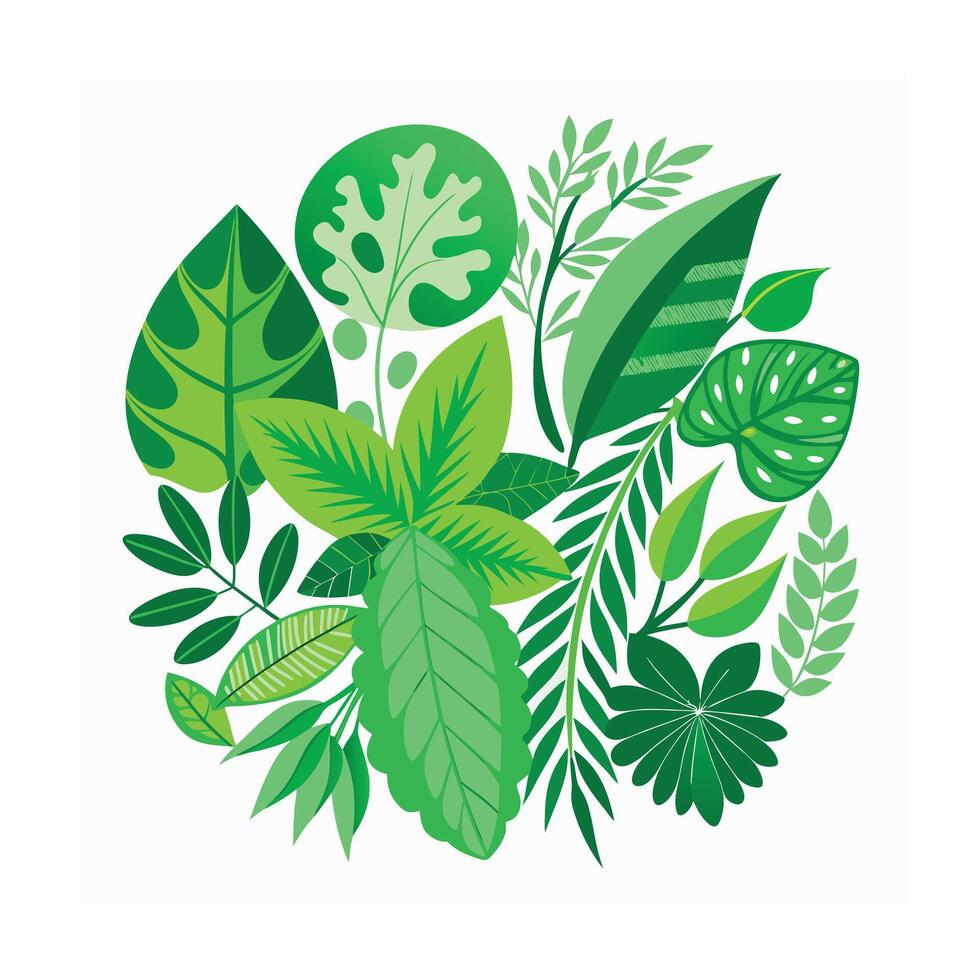 Realistic Beautiful Leaves Illustration vector
