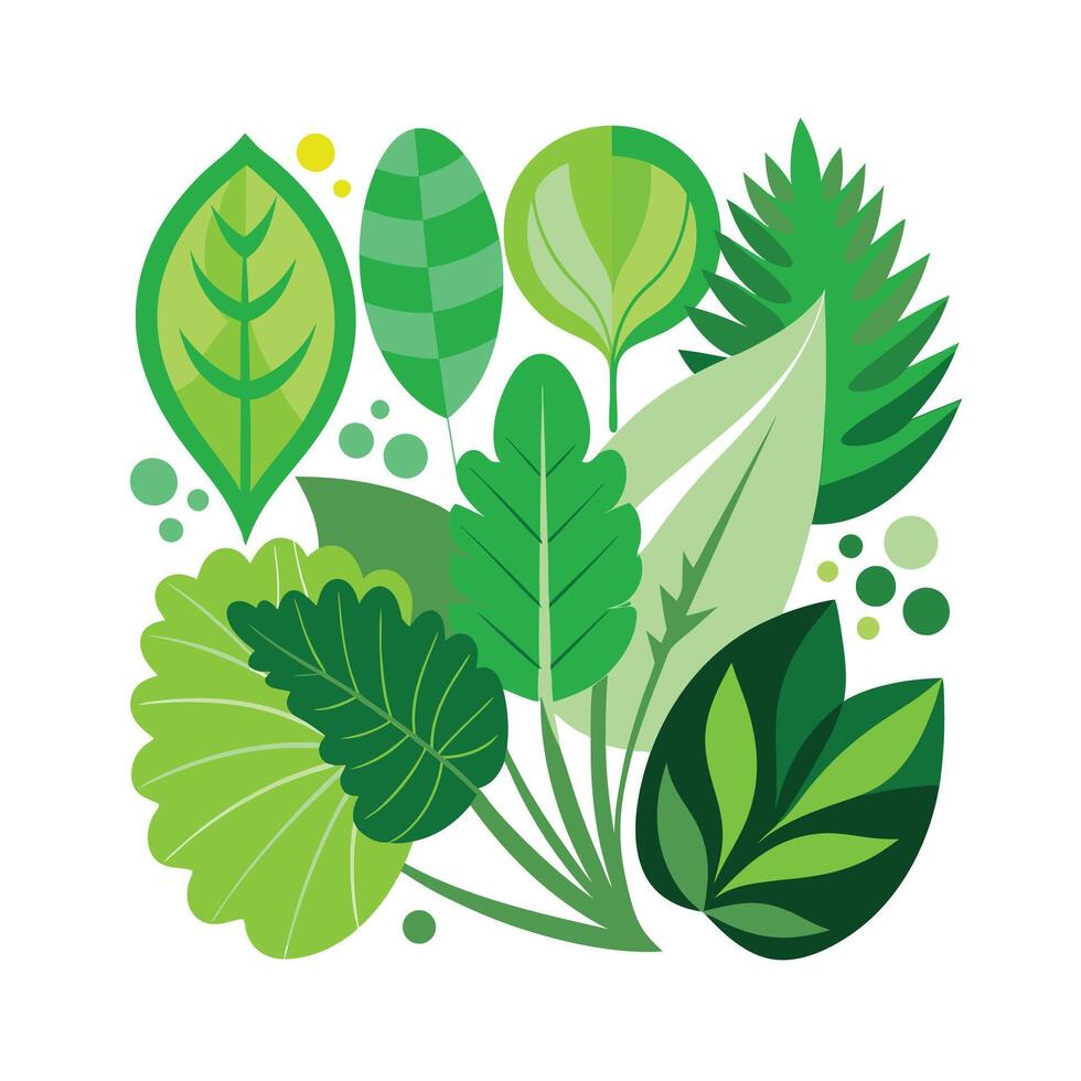 Realistic Beautiful Leaves Illustration vector