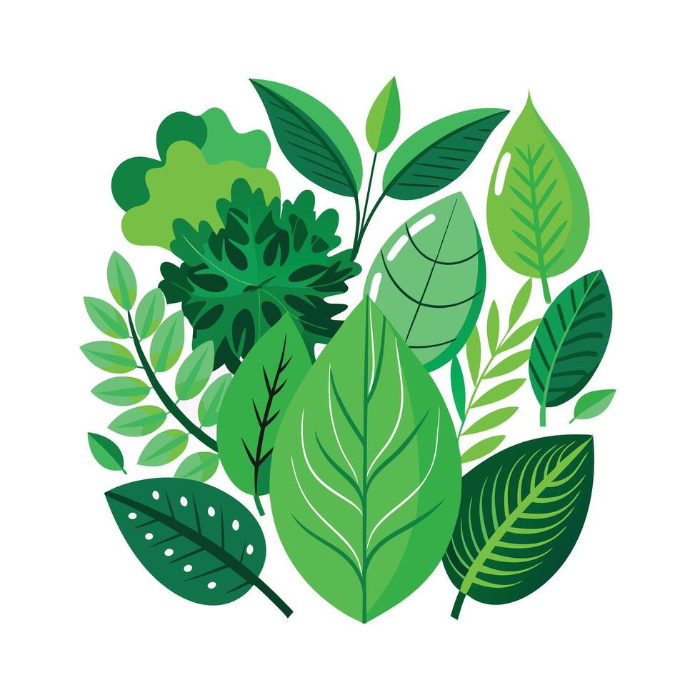 Realistic Beautiful Leaves Illustration vector