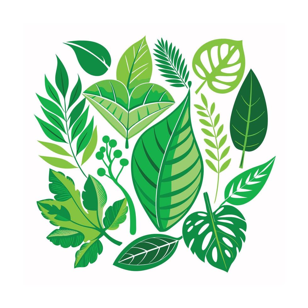 Realistic Beautiful Leaves Illustration vector