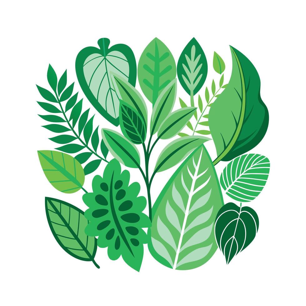 Realistic Beautiful Leaves Illustration vector