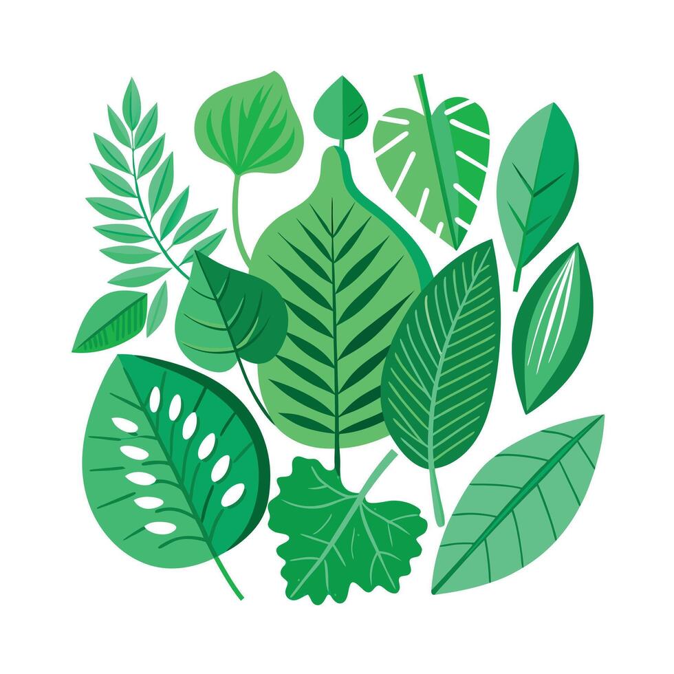 Realistic Beautiful Leaves Illustration vector