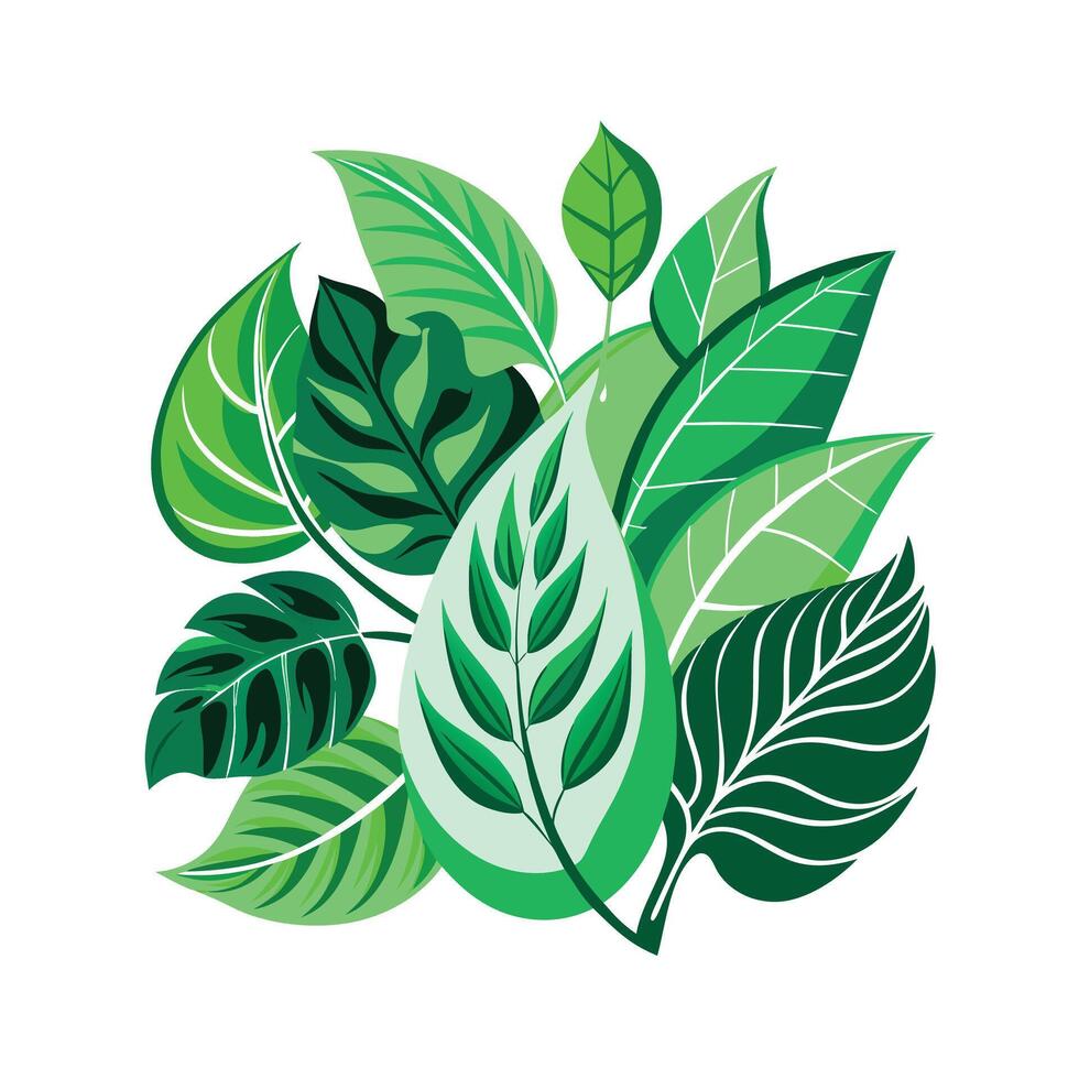 Realistic Beautiful Leaves Illustration vector