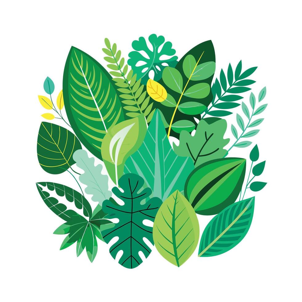 Realistic Beautiful Leaves Illustration vector