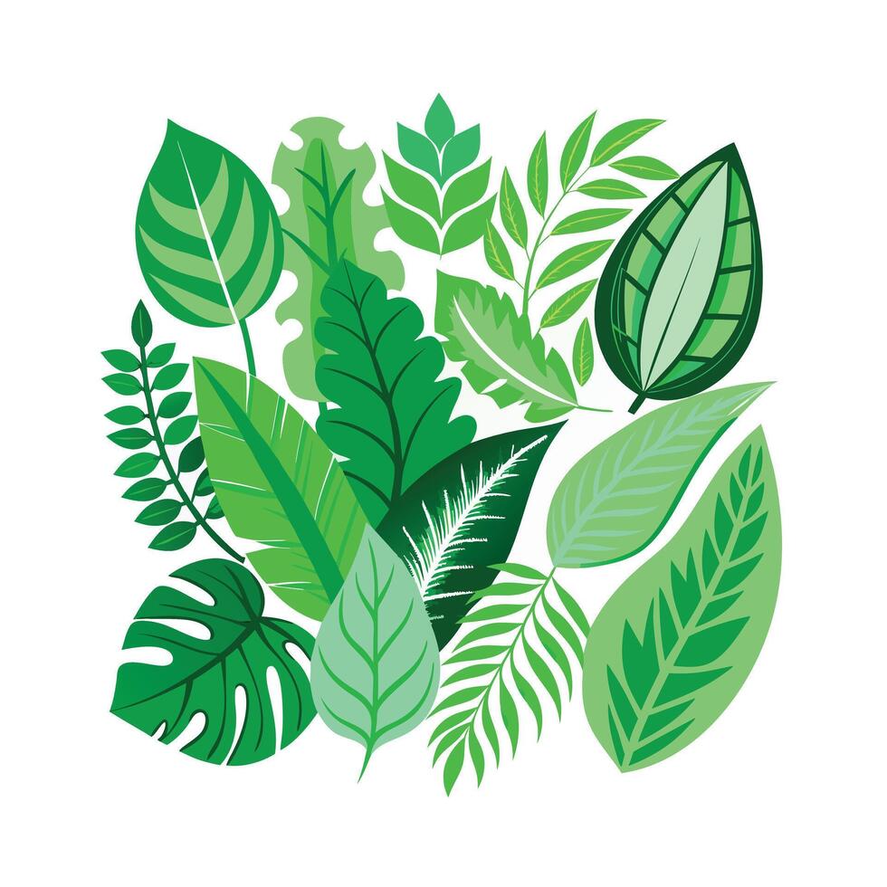 Realistic Beautiful Leaves Illustration vector