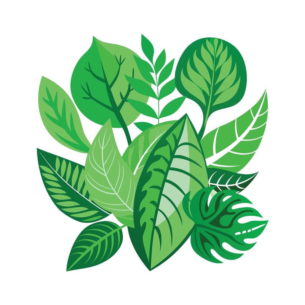 Realistic Beautiful Leaves Illustration vector
