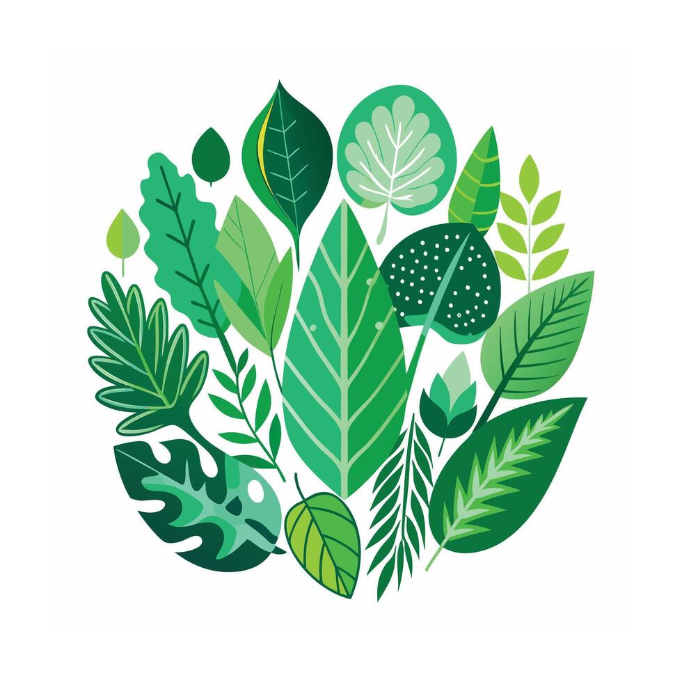 Realistic Beautiful Leaves Illustration vector