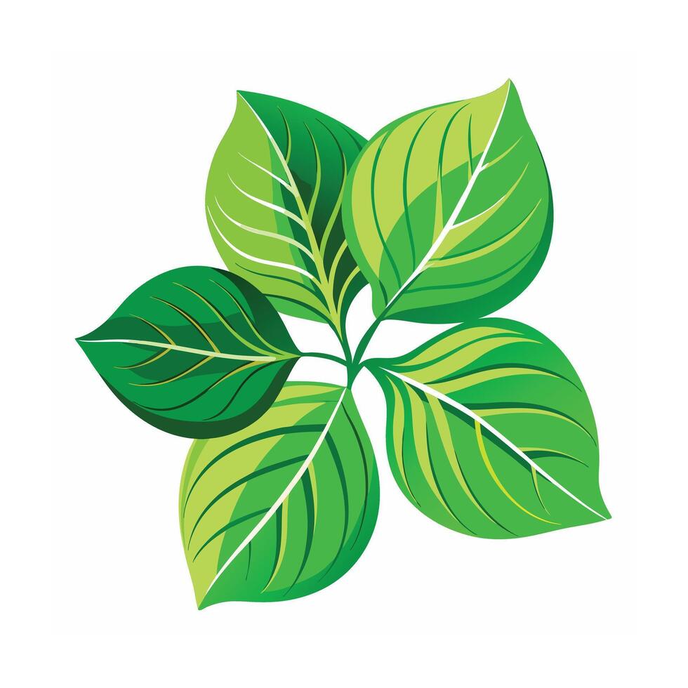 Realistic Beautiful Leaves Illustration vector