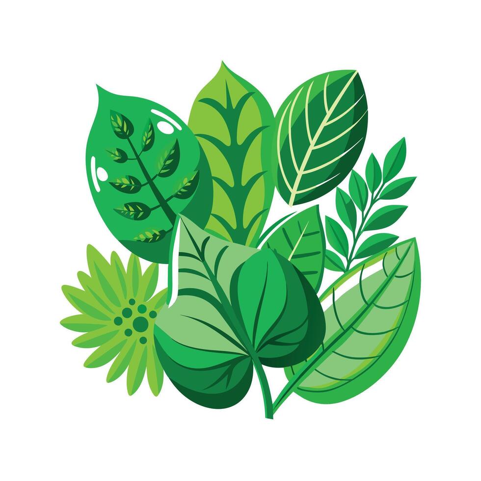 Realistic Beautiful Leaves Illustration vector