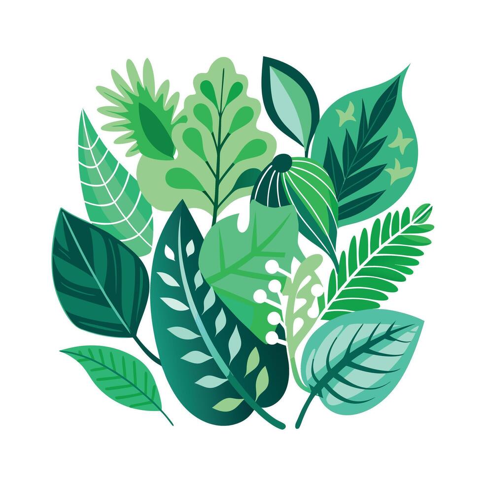 Realistic Beautiful Leaves Illustration vector