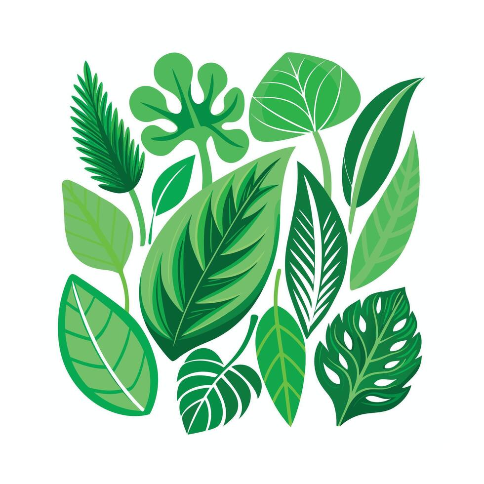 Realistic Beautiful Leaves Illustration vector