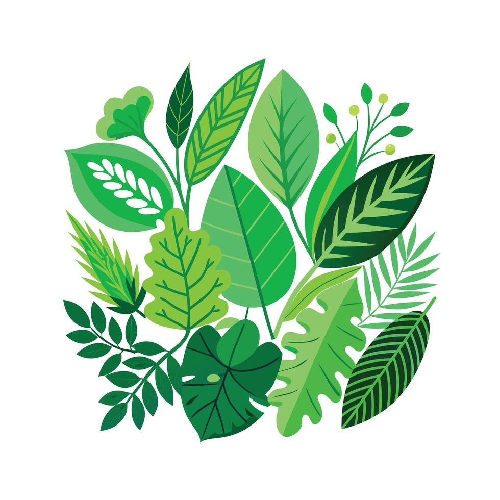 Realistic Beautiful Leaves Illustration vector