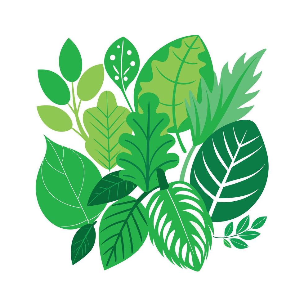Realistic Beautiful Leaves Illustration vector