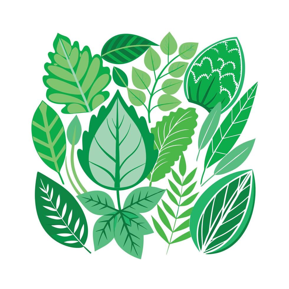 Realistic Beautiful Leaves Illustration vector