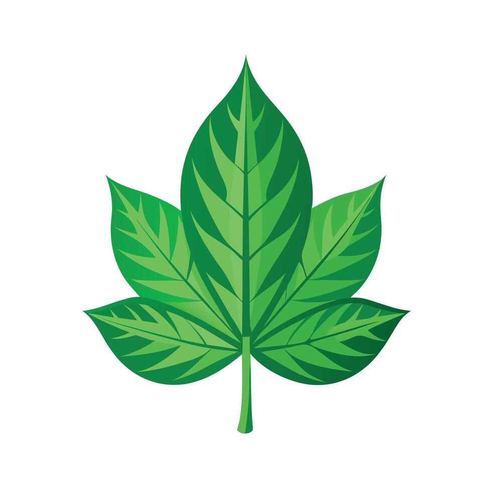 Realistic Beautiful Leaves Illustration vector