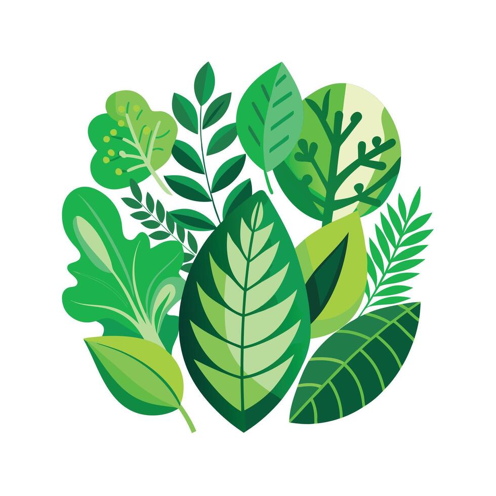 Realistic Beautiful Leaves Illustration vector