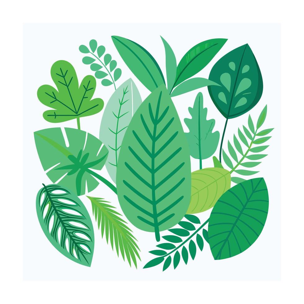 Realistic Beautiful Leaves Illustration vector