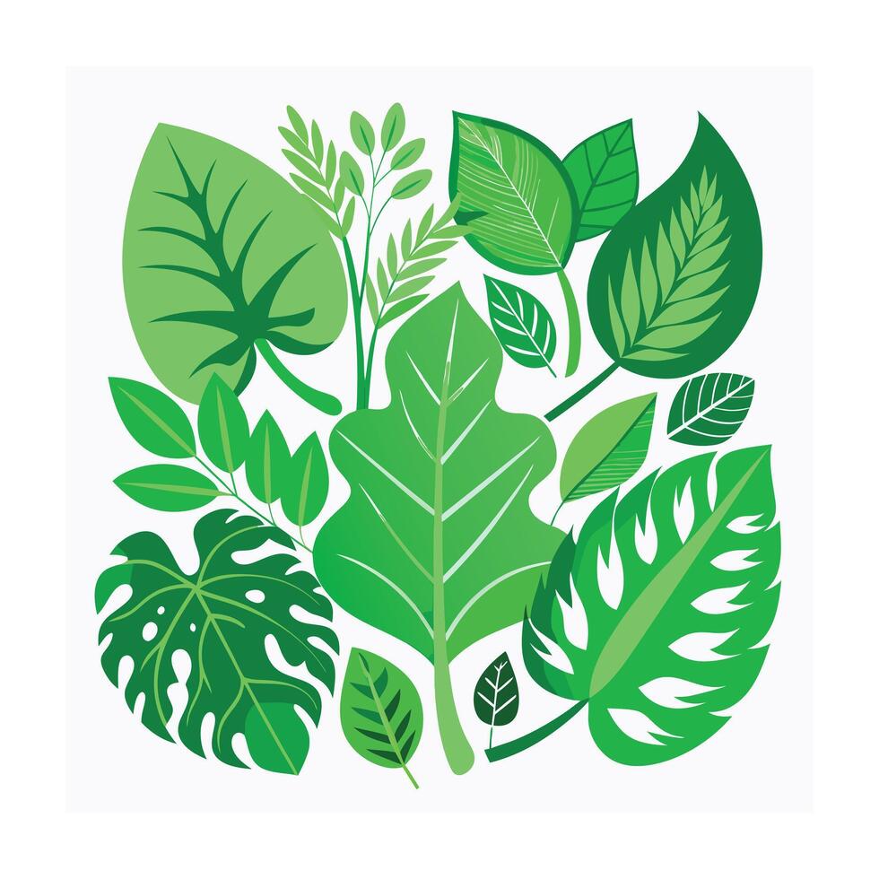 Realistic Beautiful Leaves Illustration vector