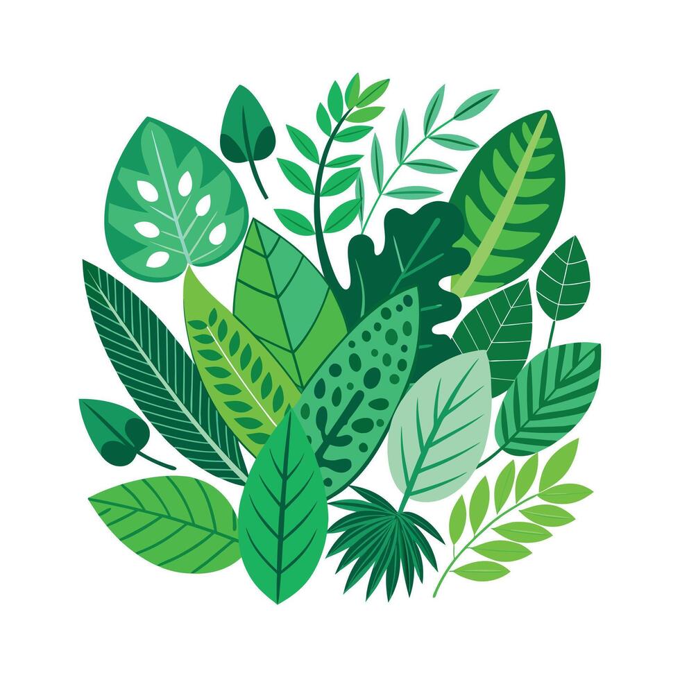 Realistic Beautiful Leaves Illustration vector