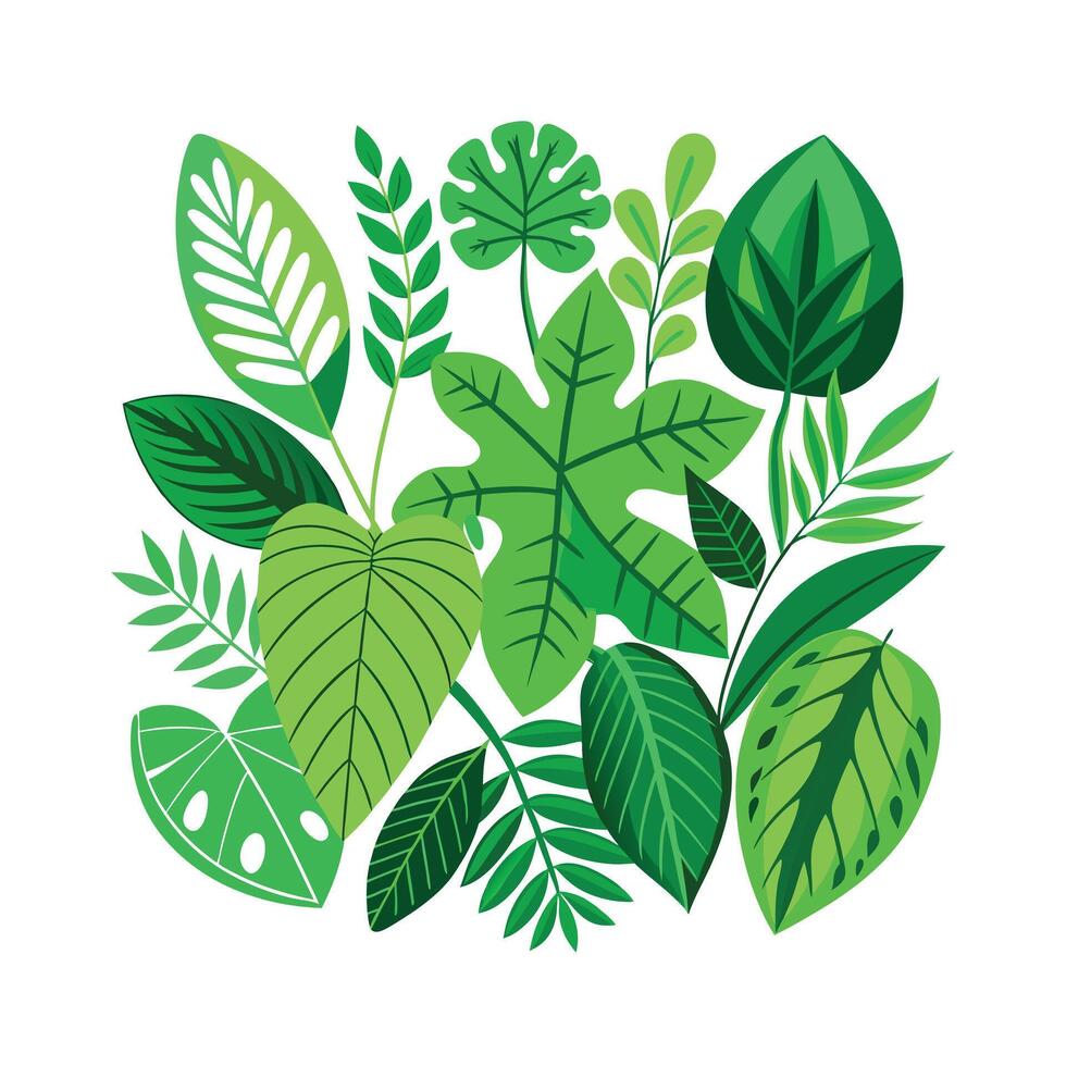 Realistic Beautiful Leaves Illustration vector