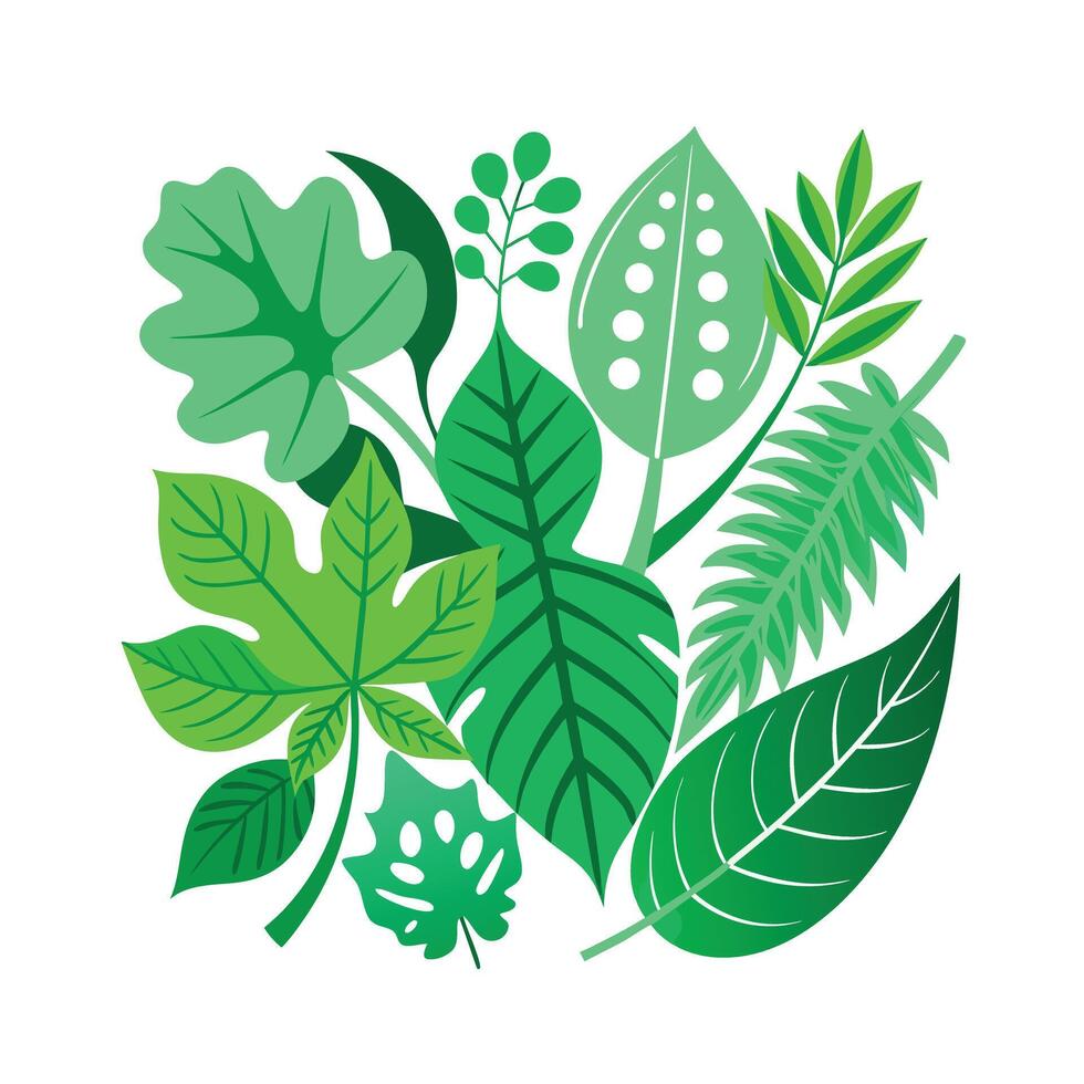 Realistic Beautiful Leaves Illustration vector