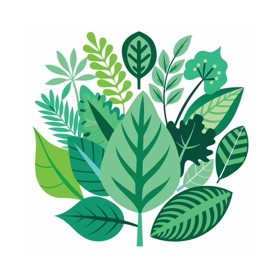 Realistic Beautiful Leaves Illustration vector