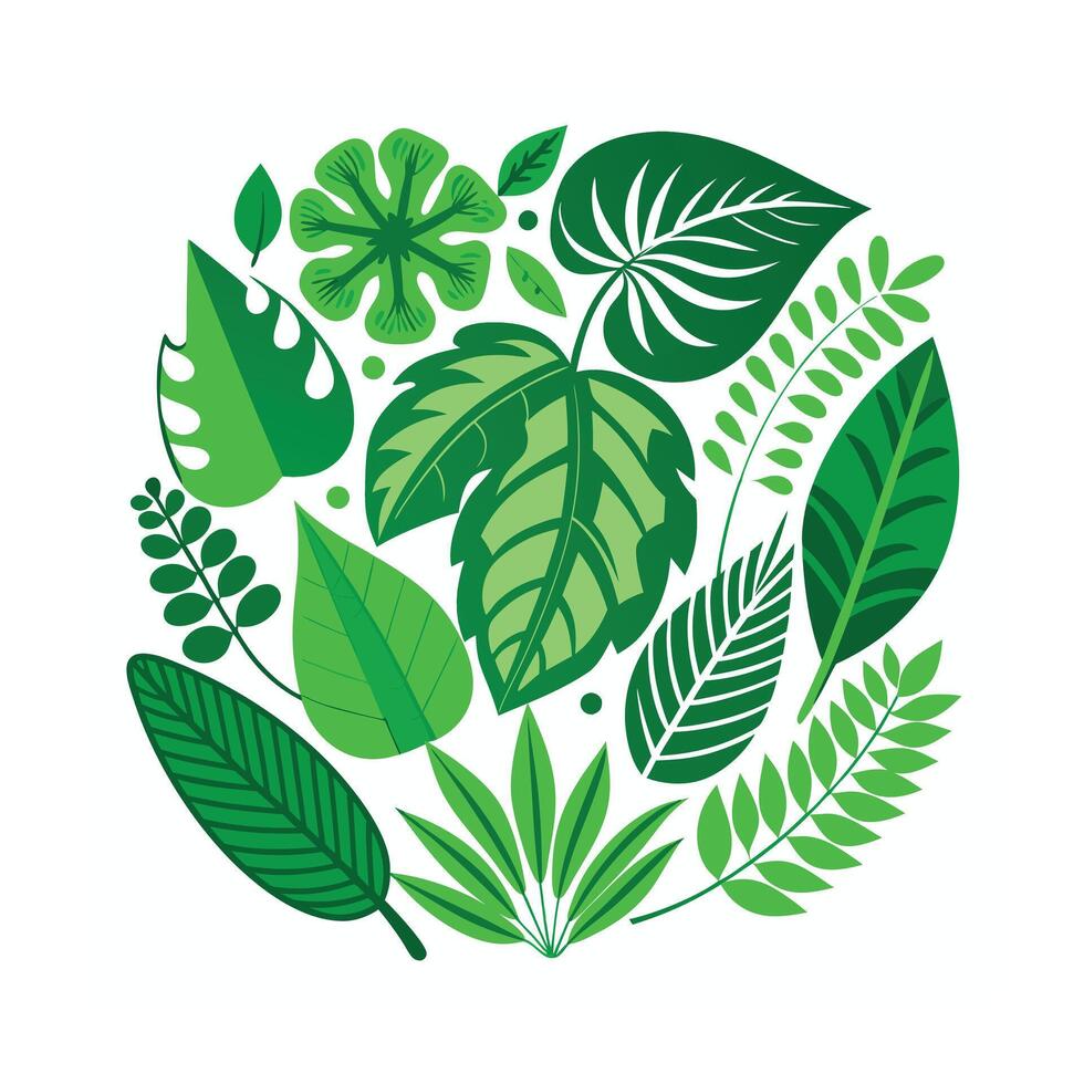 Realistic Beautiful Leaves Illustration vector