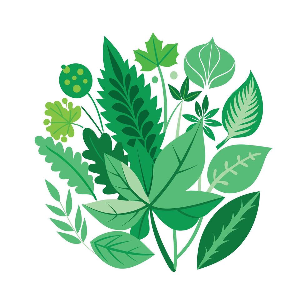 Realistic Beautiful Leaves Illustration vector