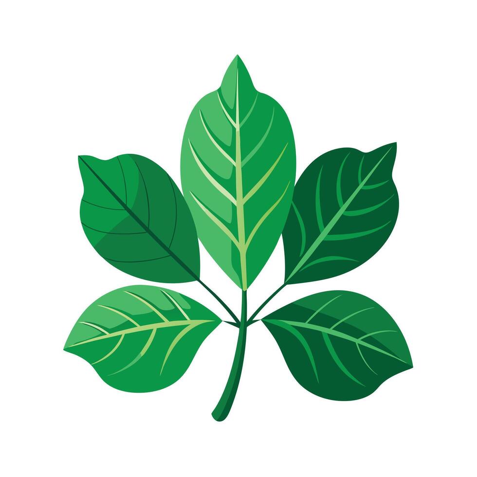 Realistic Beautiful Leaves Illustration vector