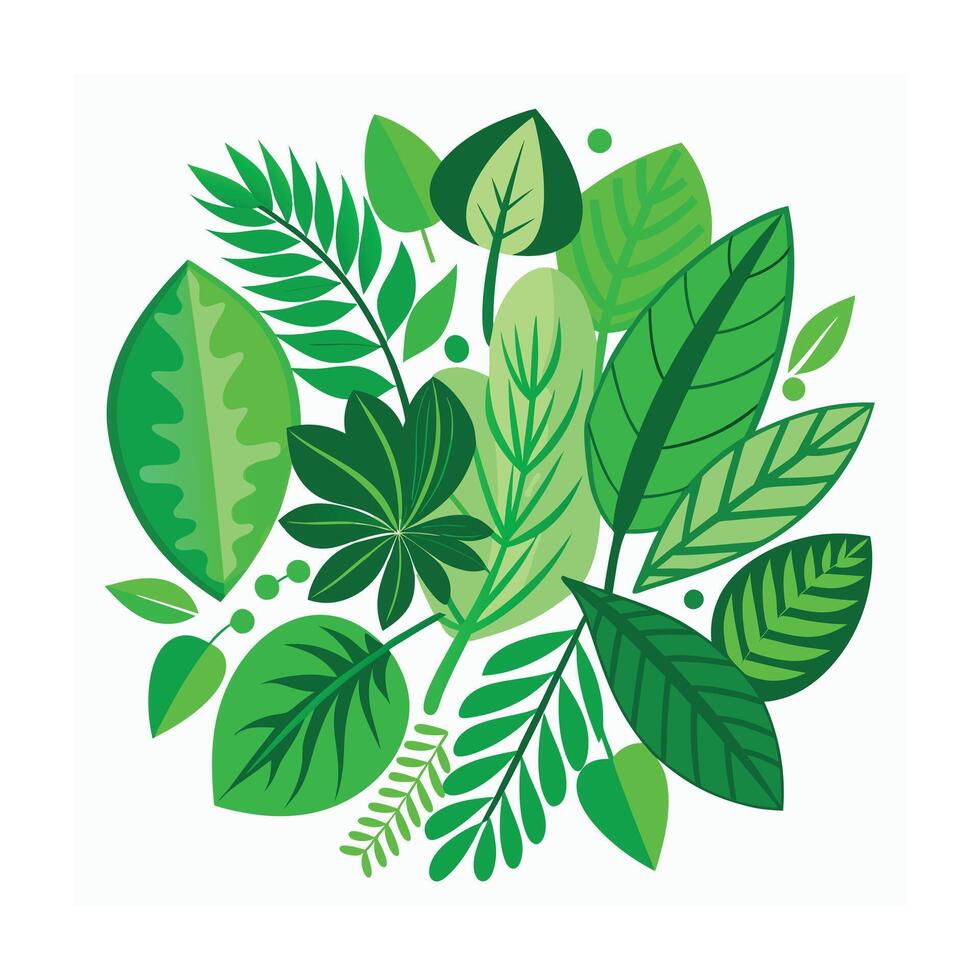 Realistic Beautiful Leaves Illustration vector