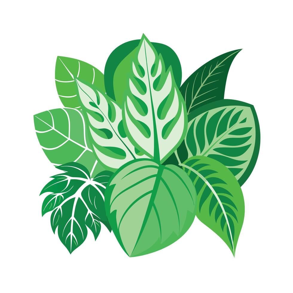 Realistic Beautiful Leaves Illustration vector