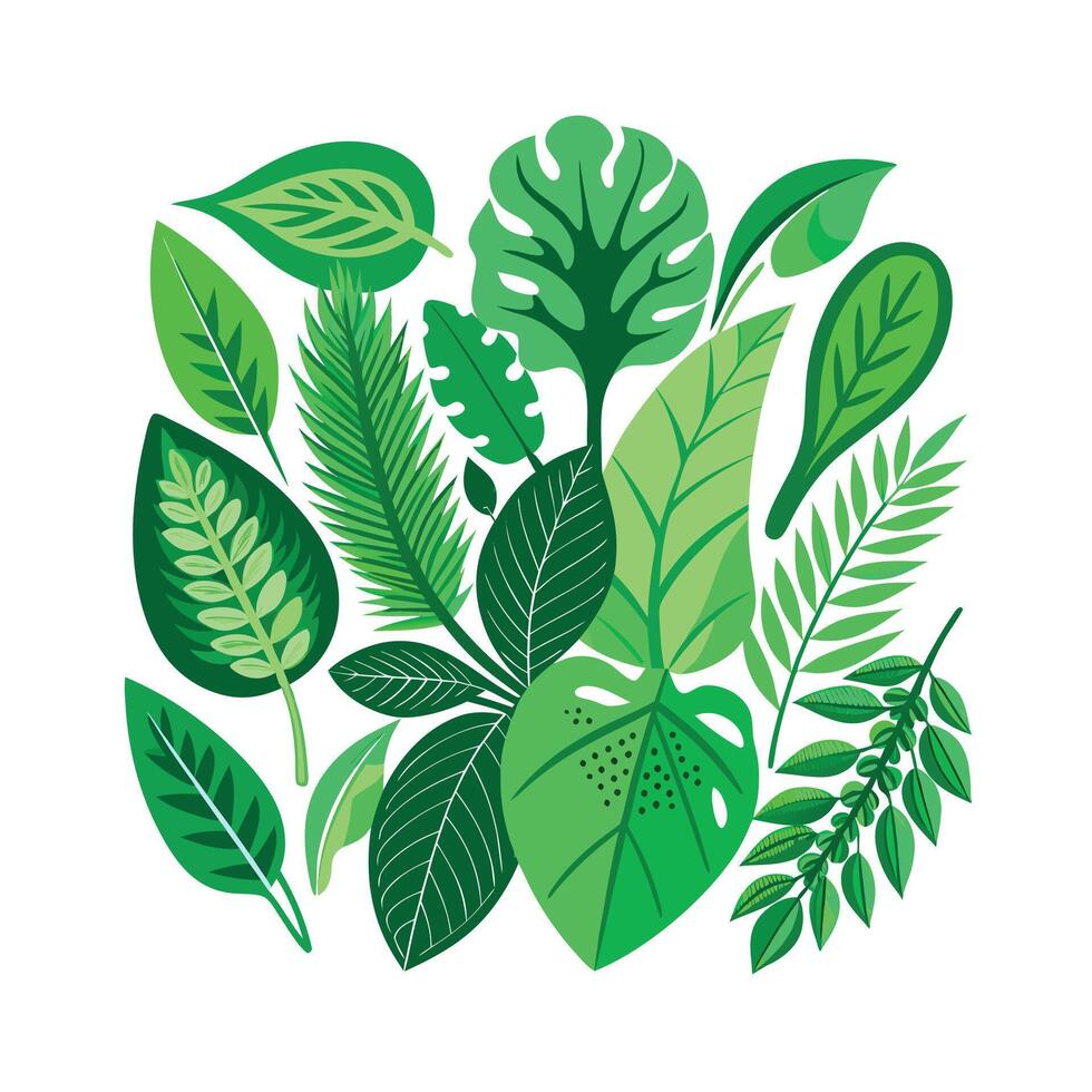 Realistic Beautiful Leaves Illustration vector