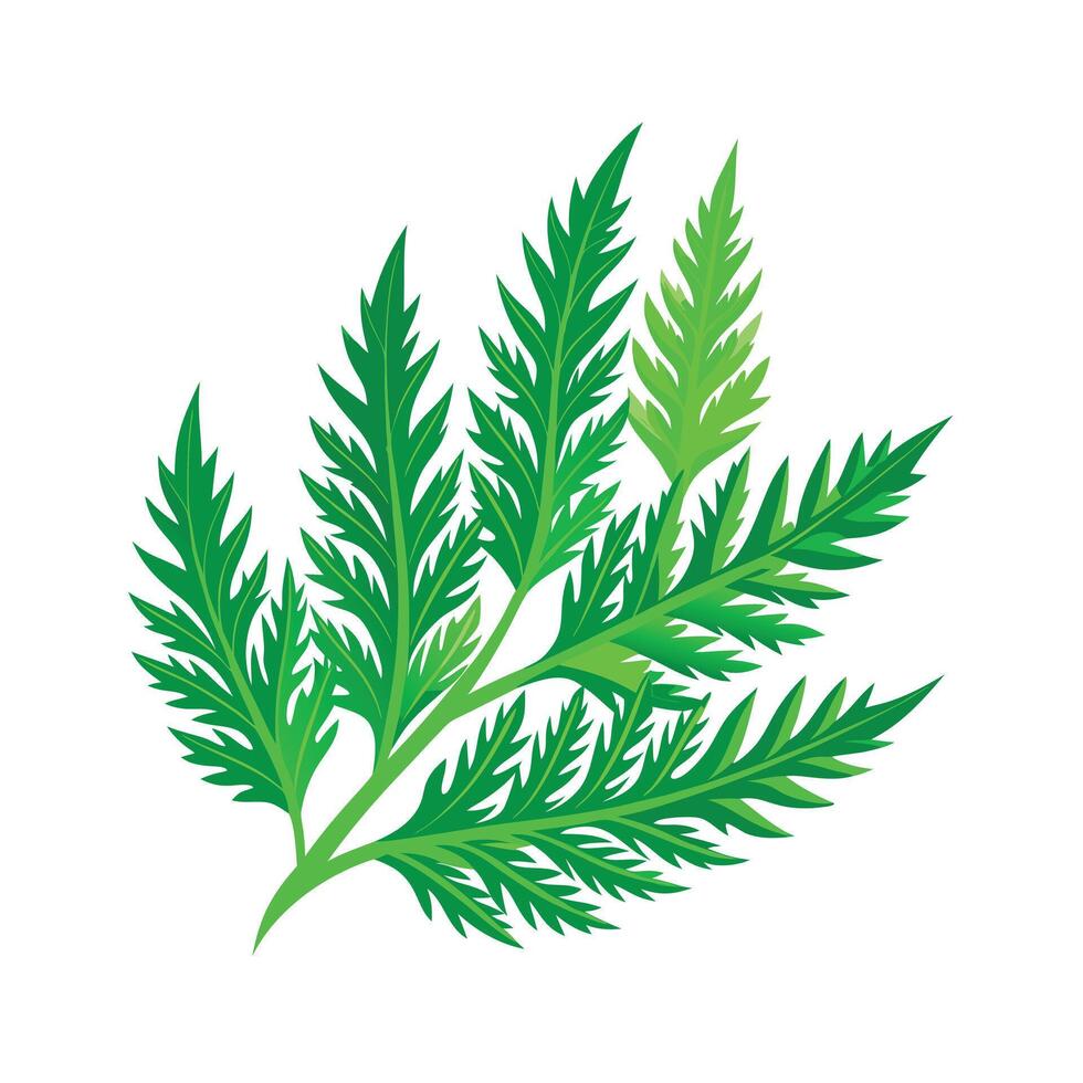 Realistic Beautiful Leaves Illustration vector