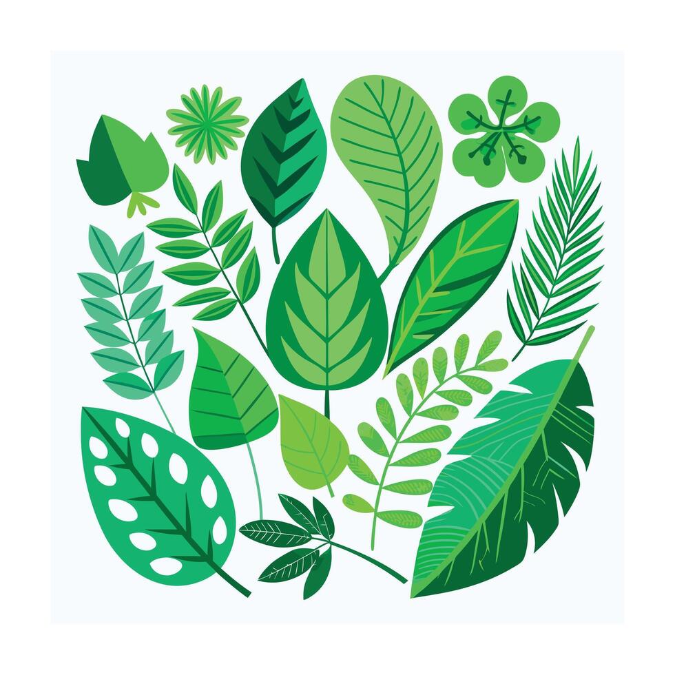 Realistic Beautiful Leaves Illustration vector