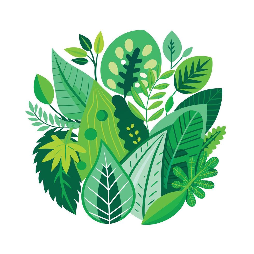 Realistic Beautiful Leaves Illustration vector