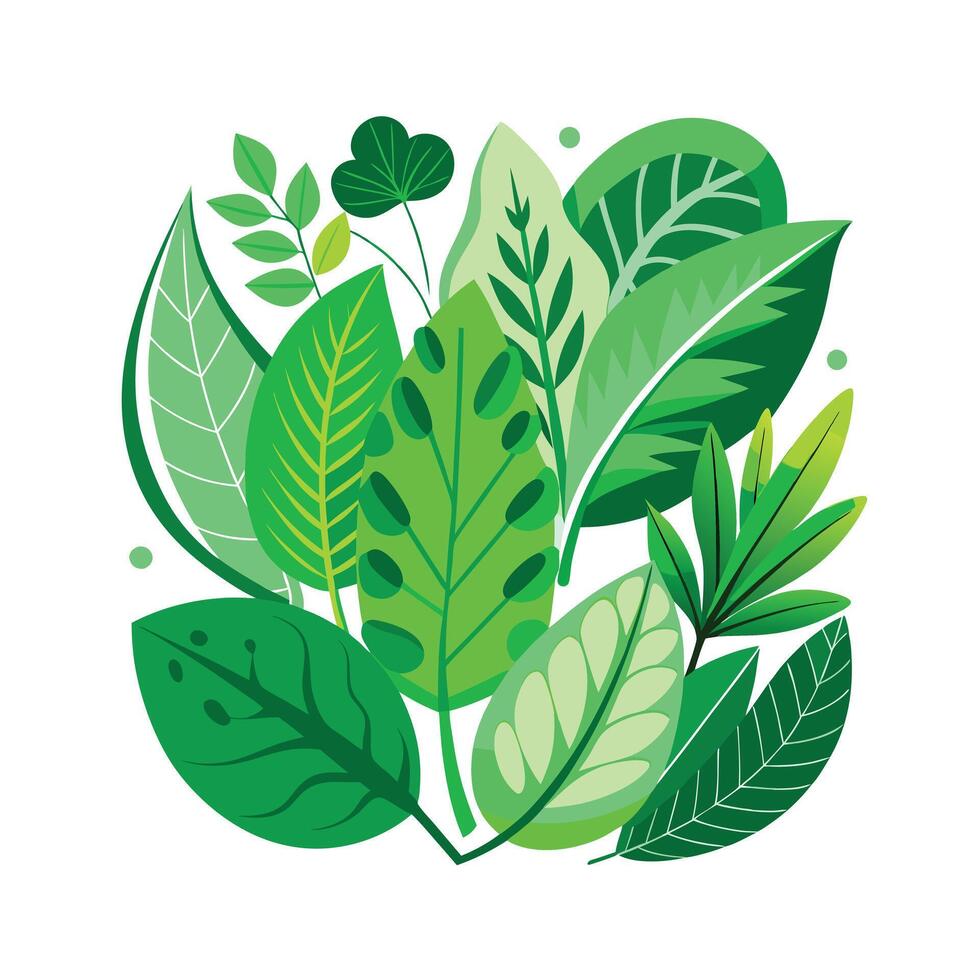 Realistic Beautiful Leaves Illustration vector