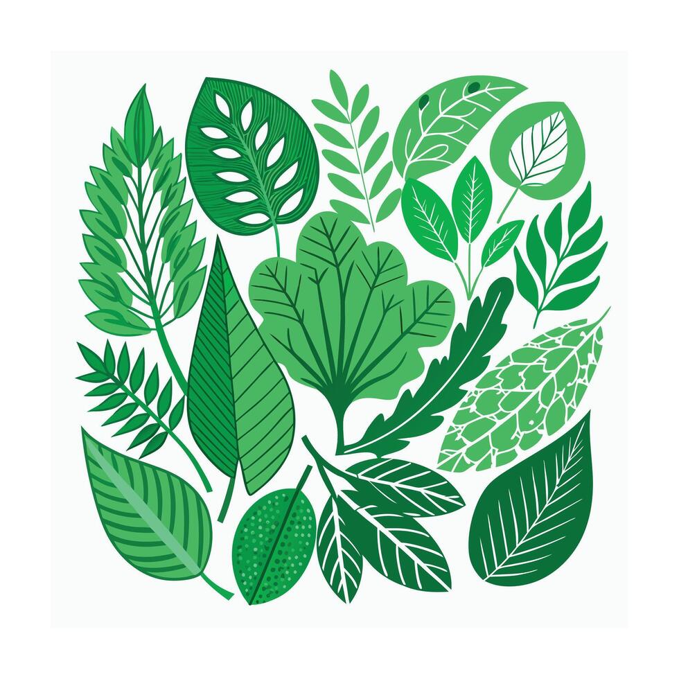 Realistic Beautiful Leaves Illustration vector