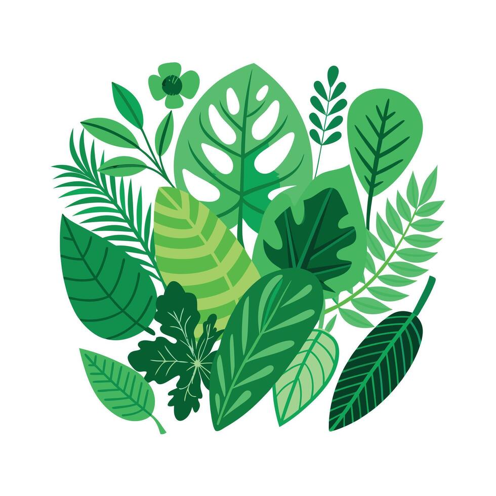 Realistic Beautiful Leaves Illustration vector