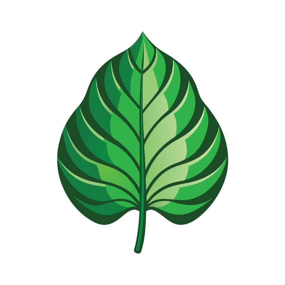 Realistic Beautiful Leaves Illustration vector