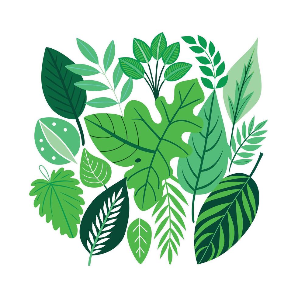 Realistic Beautiful Leaves Illustration vector