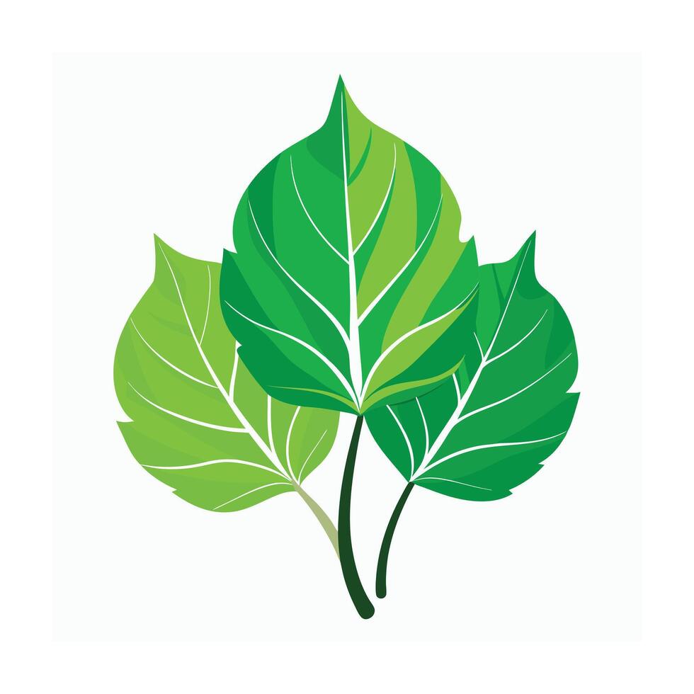 Realistic Beautiful Leaves Illustration vector